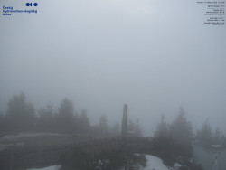 Pohled na jihozápad, Smrk