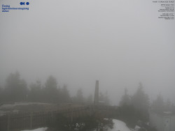 Pohled na jihozápad, Smrk