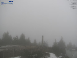 Pohled na jihozápad, Smrk