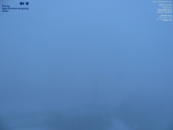 Pohled na jihozápad, Smrk