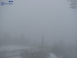 Pohled na jihozápad, Smrk