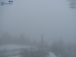 Pohled na jihozápad, Smrk