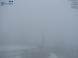 Pohled na jihozápad, Smrk