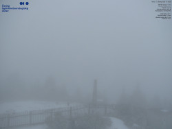 Pohled na jihozápad, Smrk