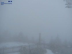 Pohled na jihozápad, Smrk