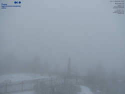 Pohled na jihozápad, Smrk