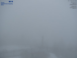 Pohled na jihozápad, Smrk