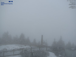 Pohled na jihozápad, Smrk