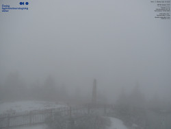 Pohled na jihozápad, Smrk