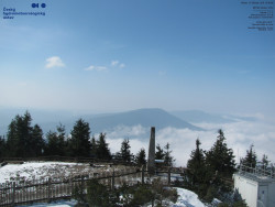 Pohled na jihozápad, Smrk