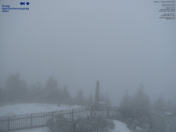 Pohled na jihozápad, Smrk