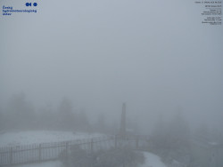 Pohled na jihozápad, Smrk