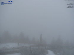 Pohled na jihozápad, Smrk