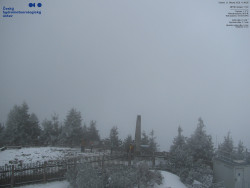 Pohled na jihozápad, Smrk