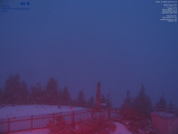 Pohled na jihozápad, Smrk