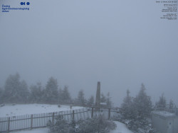 Pohled na jihozápad, Smrk