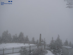 Pohled na jihozápad, Smrk