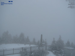 Pohled na jihozápad, Smrk