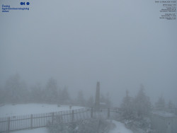 Pohled na jihozápad, Smrk