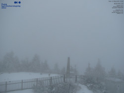 Pohled na jihozápad, Smrk