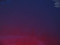 Pohled na jihozápad, Smrk