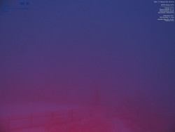 Pohled na jihozápad, Smrk