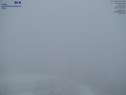 Pohled na jihozápad, Smrk