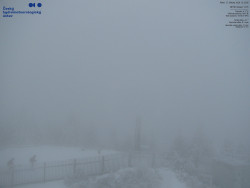 Pohled na jihozápad, Smrk