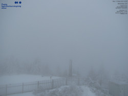 Pohled na jihozápad, Smrk