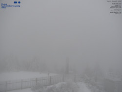 Pohled na jihozápad, Smrk