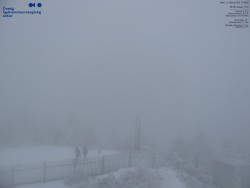 Pohled na jihozápad, Smrk