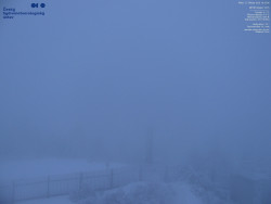 Pohled na jihozápad, Smrk