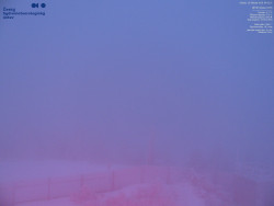 Pohled na jihozápad, Smrk