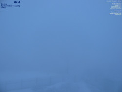 Pohled na jihozápad, Smrk