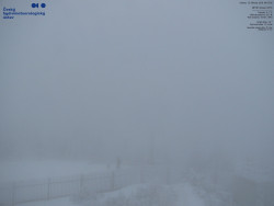 Pohled na jihozápad, Smrk