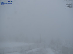 Pohled na jihozápad, Smrk