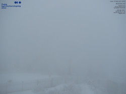 Pohled na jihozápad, Smrk