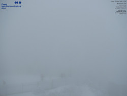 Pohled na jihozápad, Smrk