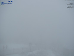 Pohled na jihozápad, Smrk