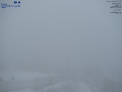 Pohled na jihozápad, Smrk