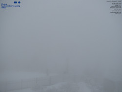 Pohled na jihozápad, Smrk