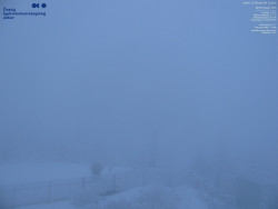 Pohled na jihozápad, Smrk