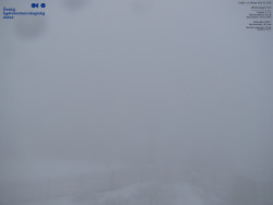 Pohled na jihozápad, Smrk