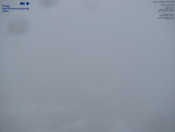 Pohled na jihozápad, Smrk