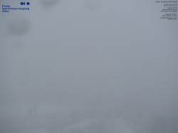 Pohled na jihozápad, Smrk