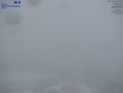 Pohled na jihozápad, Smrk