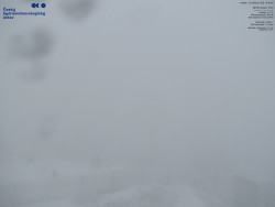 Pohled na jihozápad, Smrk