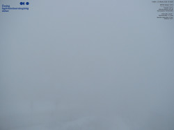 Pohled na jihozápad, Smrk