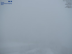 Pohled na jihozápad, Smrk