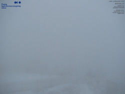 Pohled na jihozápad, Smrk